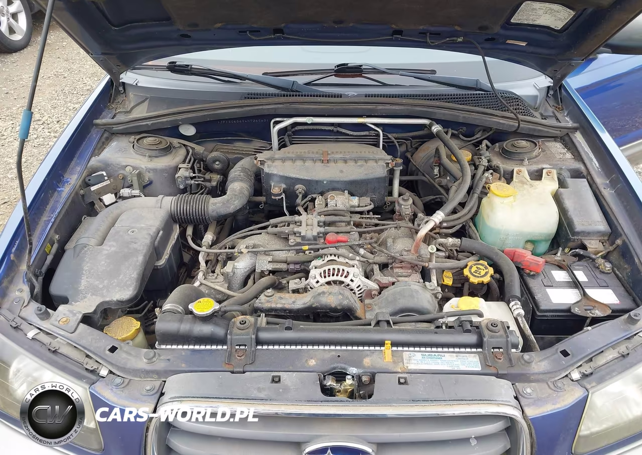 2004 Subaru Forester 2.5Xs VIN:JF1SG65694H726540 - 10