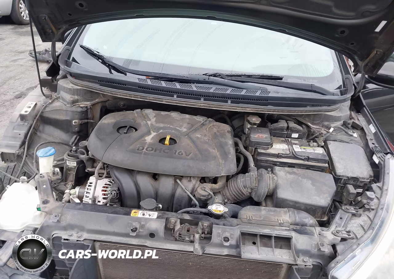 2014 Kia Forte Lx VIN:KNAFK4A65E5064699 - 10