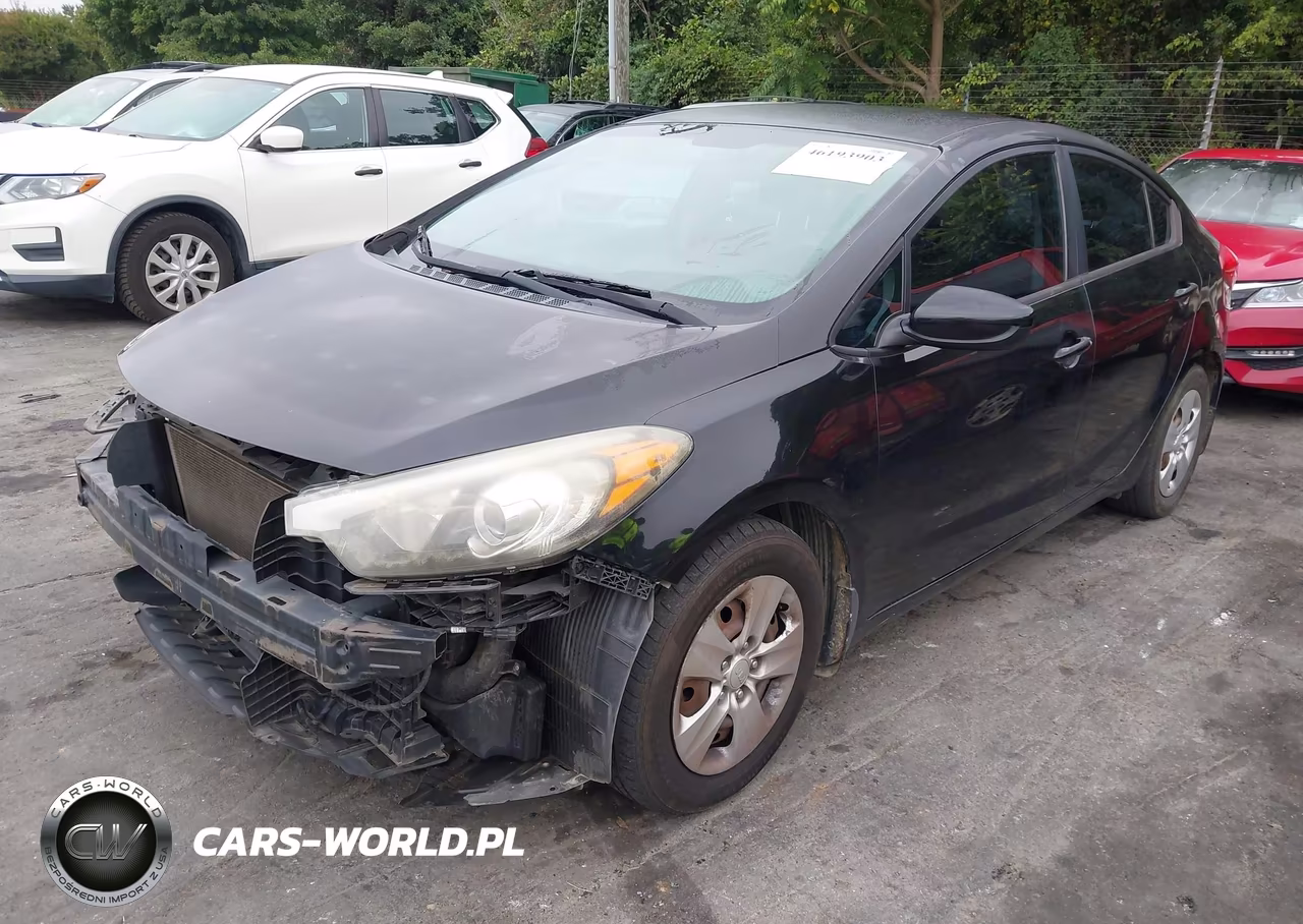 2014 Kia Forte Lx VIN:KNAFK4A65E5064699 - 2