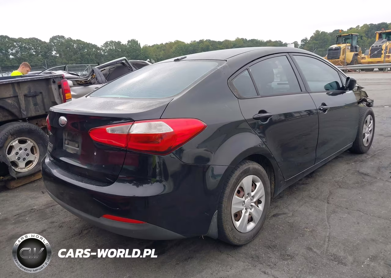 2014 Kia Forte Lx VIN:KNAFK4A65E5064699 - 4