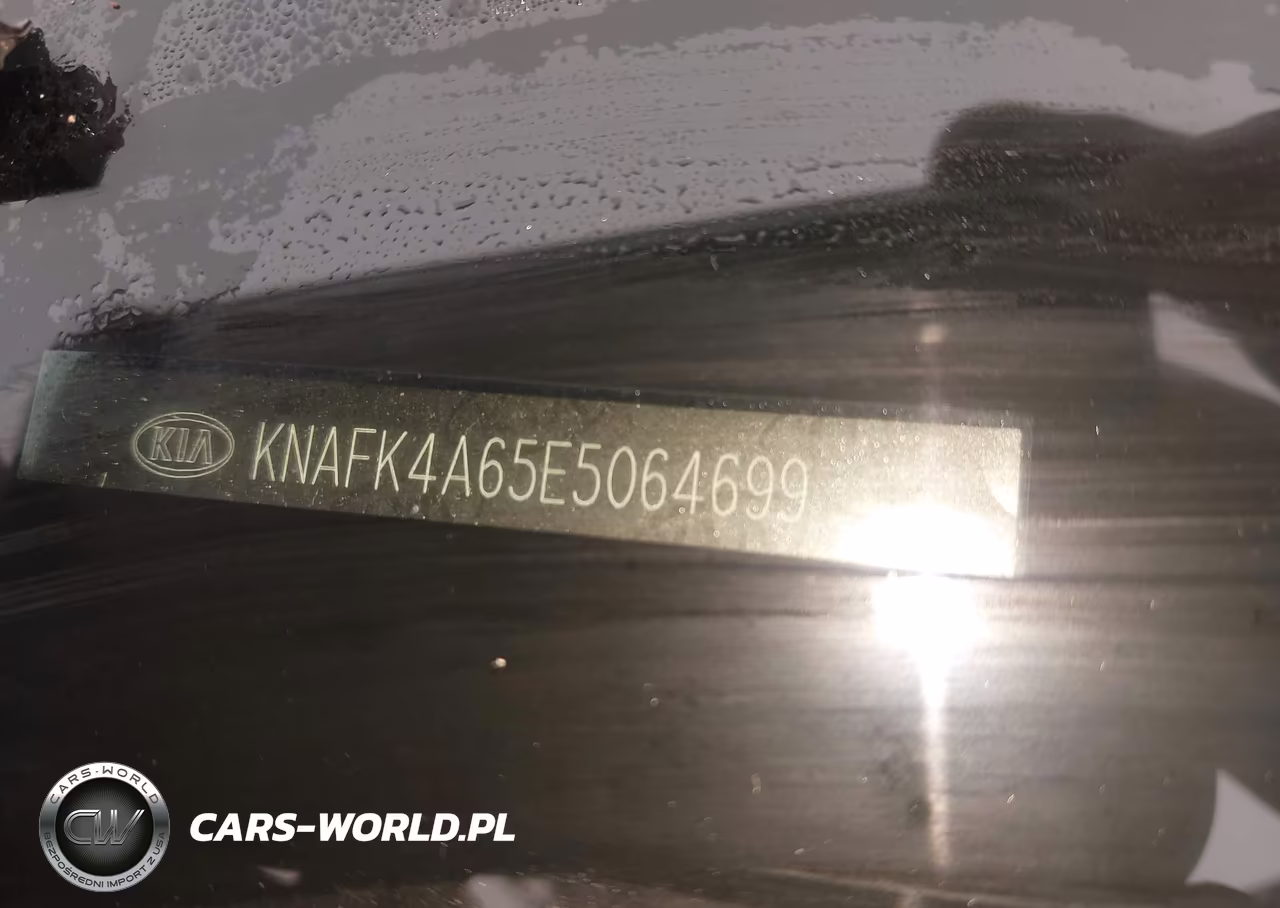 2014 Kia Forte Lx VIN:KNAFK4A65E5064699 - 9