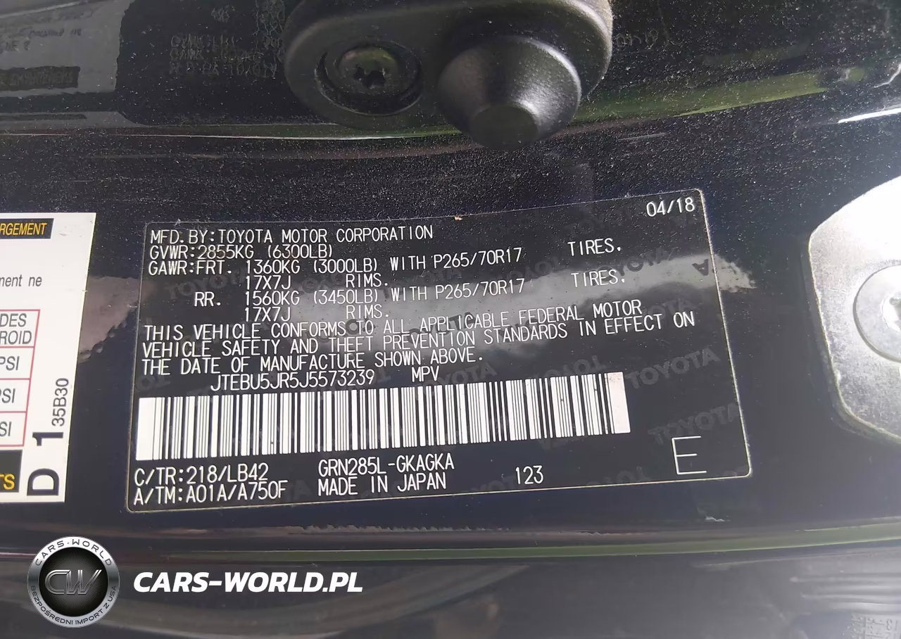 2018 Toyota 4Runner Sr5 Premium VIN:JTEBU5JR5J5573239 - 9