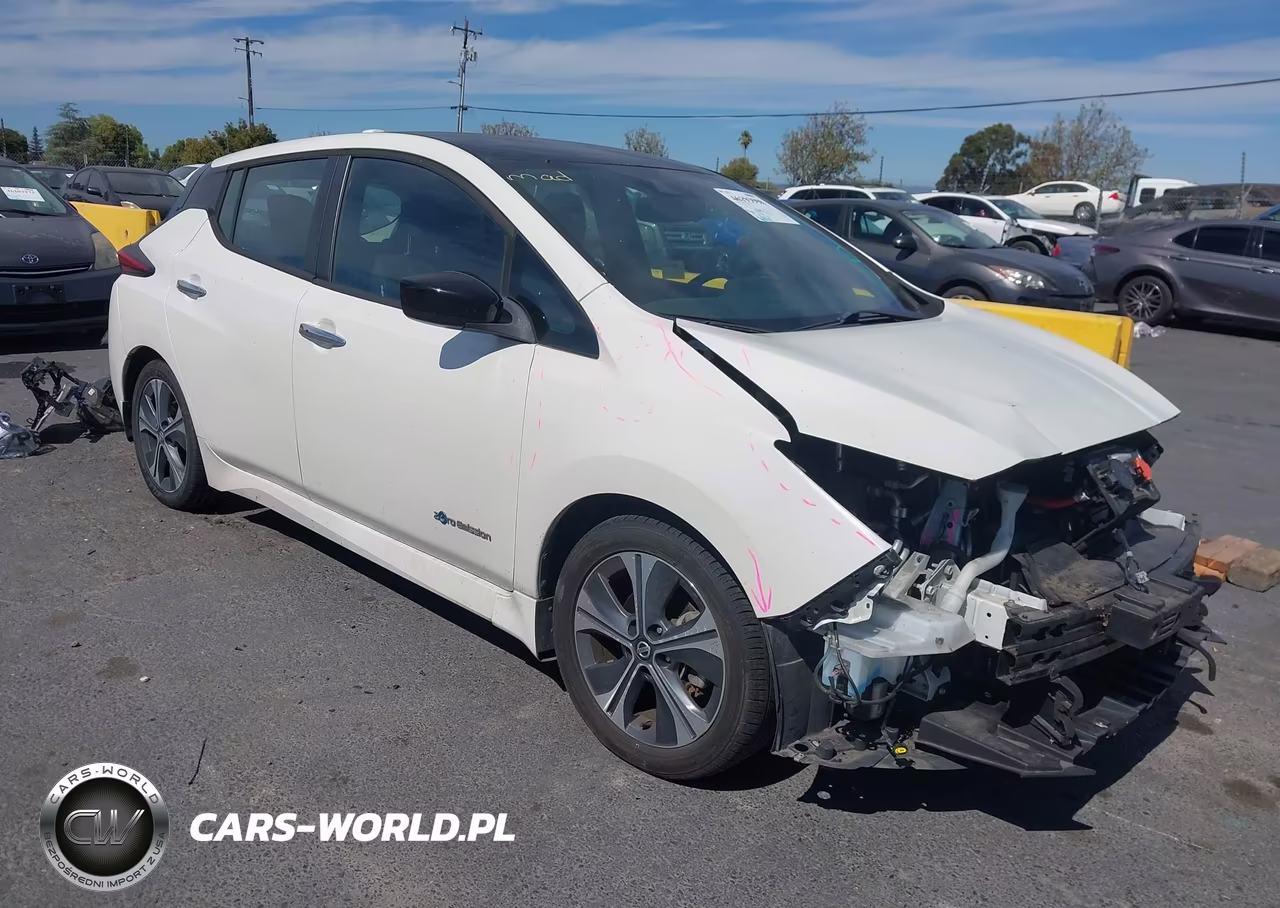 2019 Nissan Leaf Sv