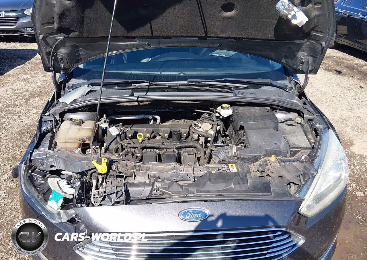 2017 Ford Focus Titanium VIN:1FADP3N2XHL201008 - 10