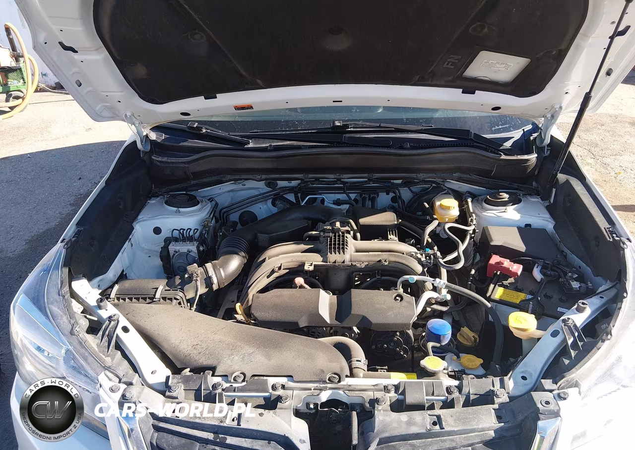 2018 Subaru Forester 2.5I VIN:JF2SJAAC6JG545781 - 10