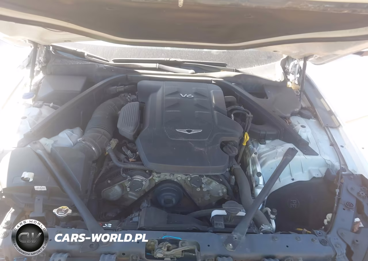 2018 Genesis G80 3.8 VIN:KMHGN4JE5JU225070 - 10
