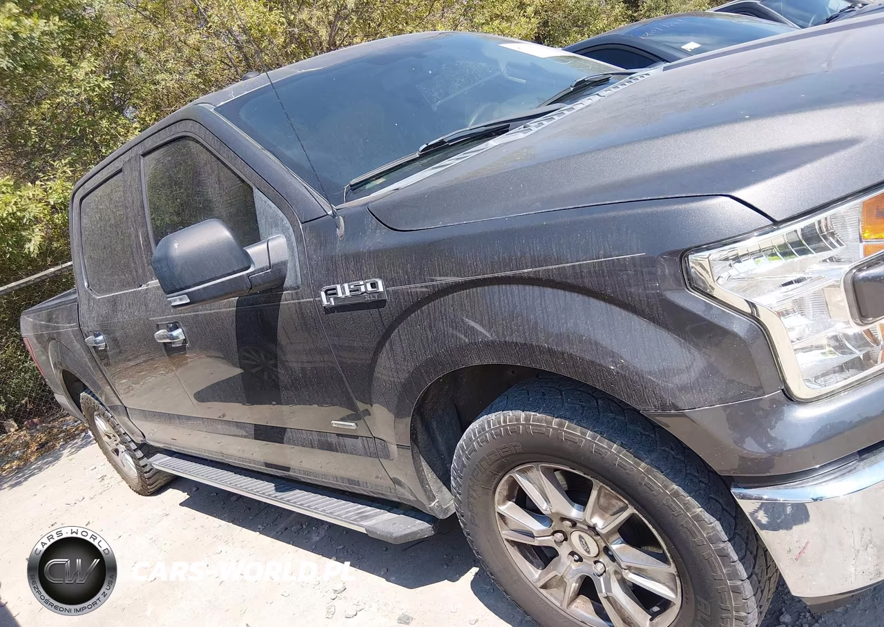 2016 Ford F-150 Xlt VIN:1FTEW1CP1GKF18006 - 13