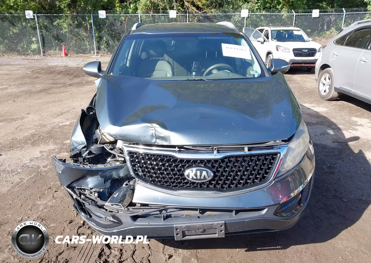 2015 Kia Sportage Lx VIN:KNDPB3ACXF7700174 - 11