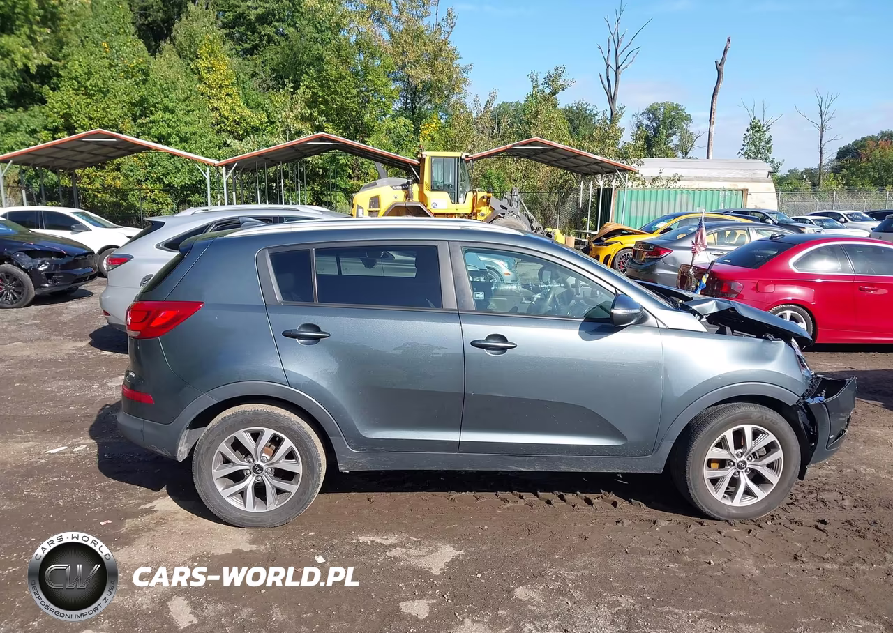 2015 Kia Sportage Lx VIN:KNDPB3ACXF7700174 - 12