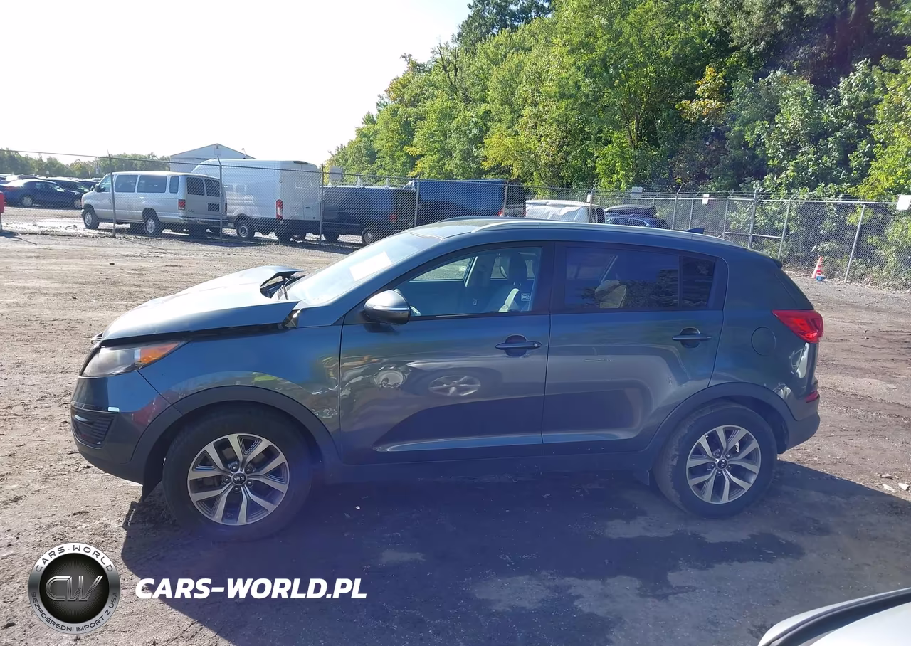2015 Kia Sportage Lx VIN:KNDPB3ACXF7700174 - 13