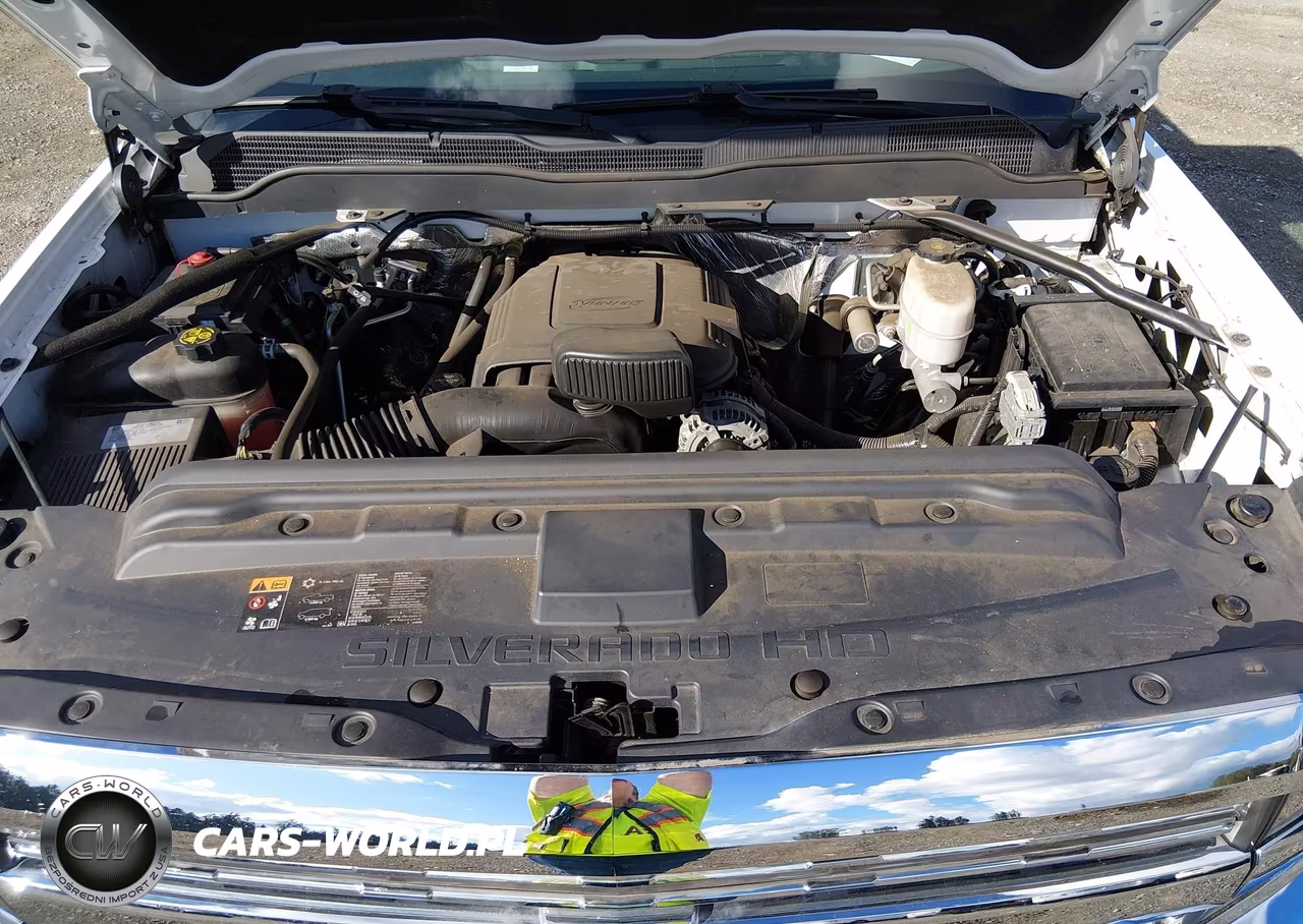 2017 Chevrolet Silverado 2500Hd Wt VIN:1GC0CUEG9HZ146800 - 10