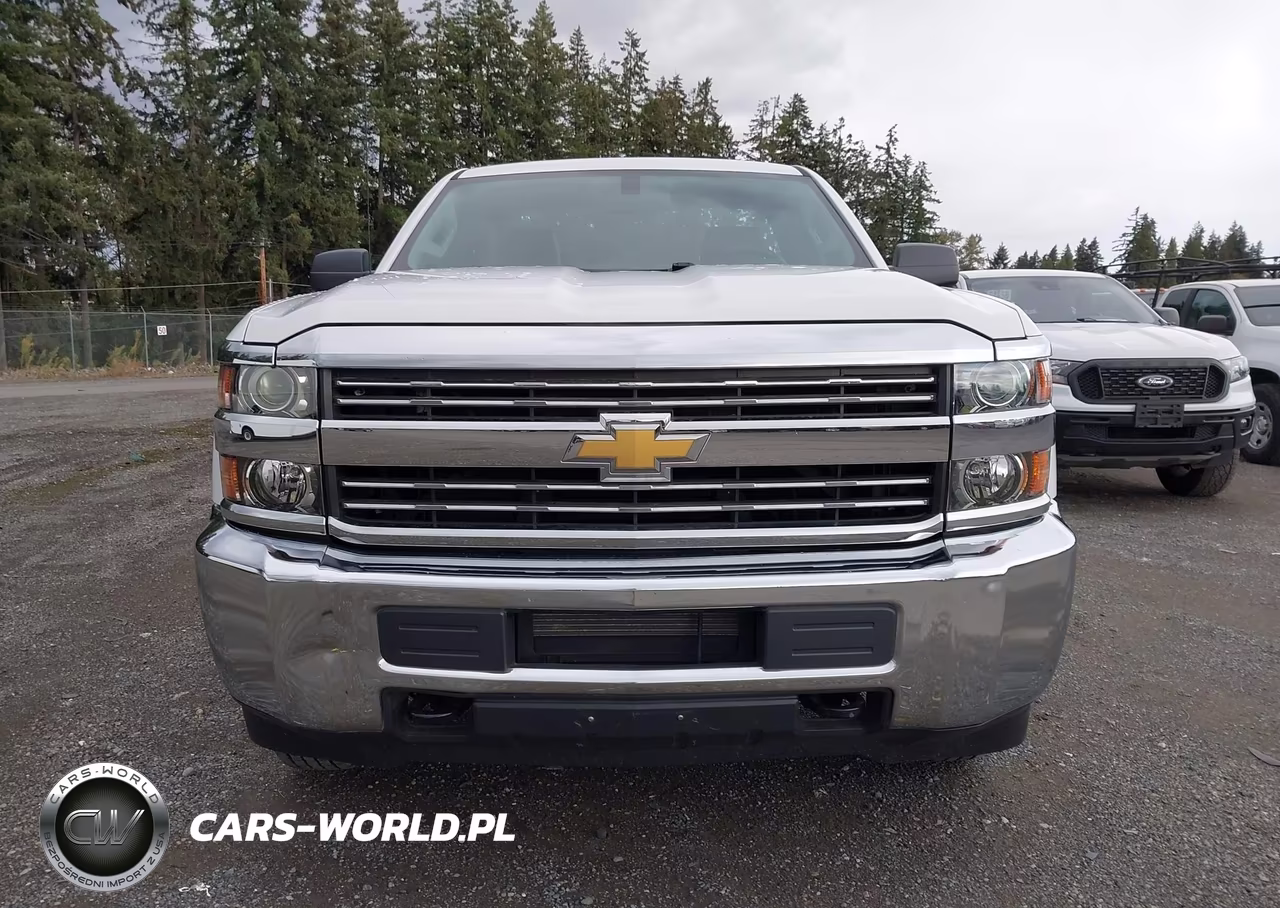 2017 Chevrolet Silverado 2500Hd Wt VIN:1GC0CUEG9HZ146800 - 12