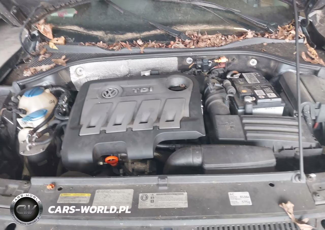 2013 Volkswagen Passat Tdi Sel Premium VIN:1VWCN7A34DC002058 - 10