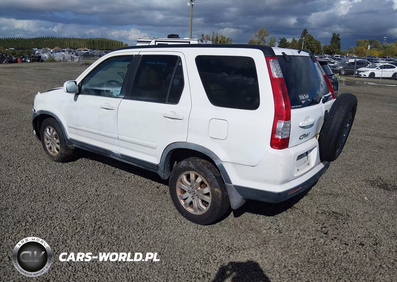 2005 Honda Cr-V Se VIN:JHLRD78905C034701 - 3