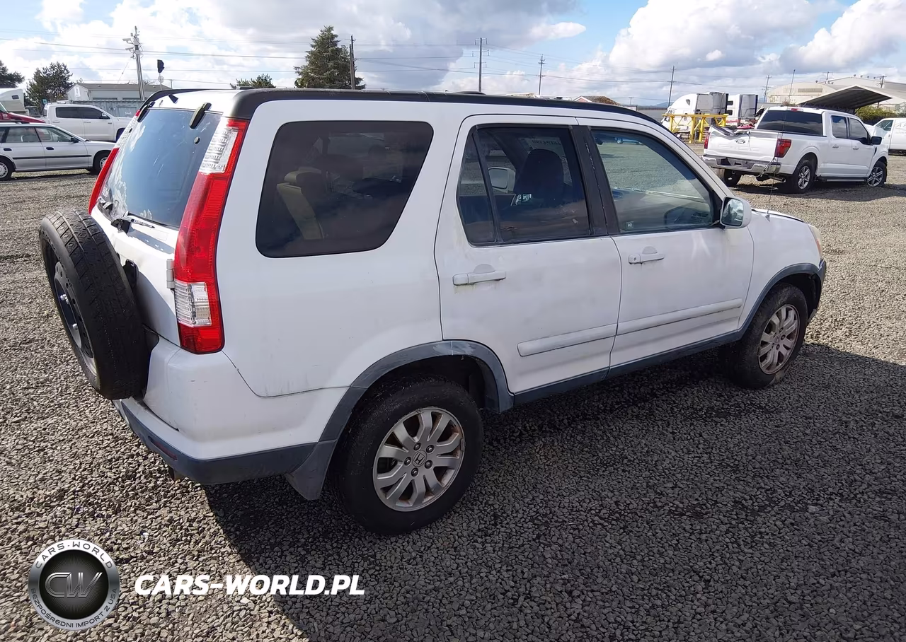 2005 Honda Cr-V Se VIN:JHLRD78905C034701 - 4