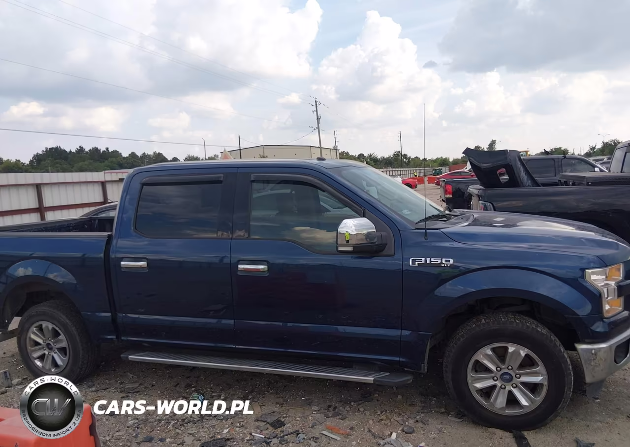 2016 Ford F-150 Xlt VIN:1FTEW1CF2GKE11795 - 13