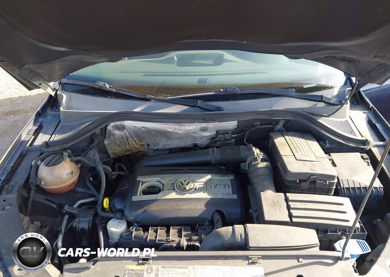 2015 Volkswagen Tiguan S VIN:WVGAV7AXXFW599498 - 10
