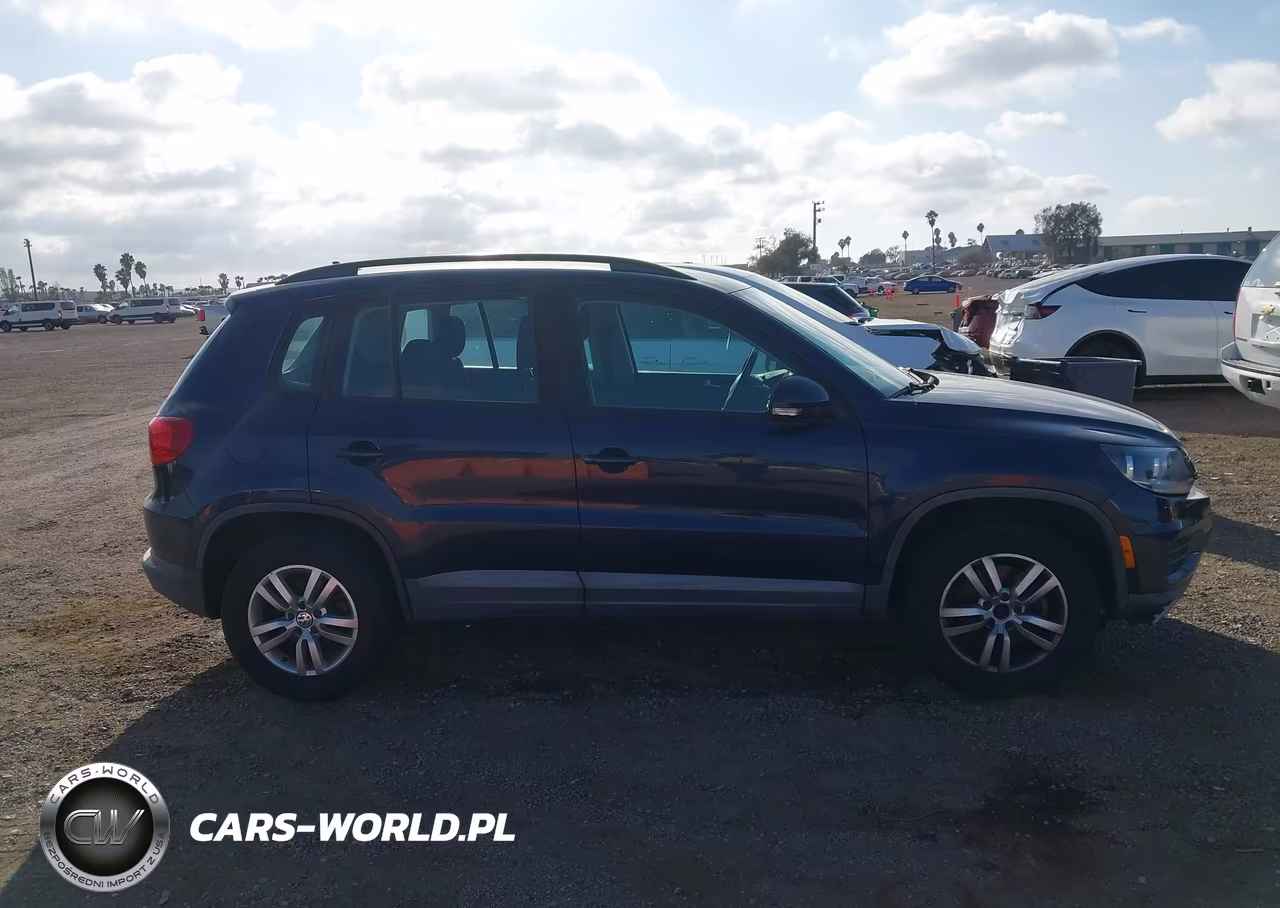 2015 Volkswagen Tiguan S VIN:WVGAV7AXXFW599498 - 13