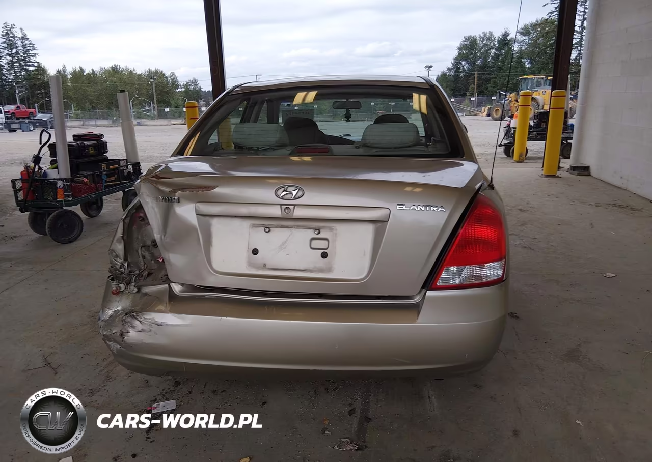 2003 Hyundai Elantra Gls-Gt VIN:KMHDN45D33U594503 - 17