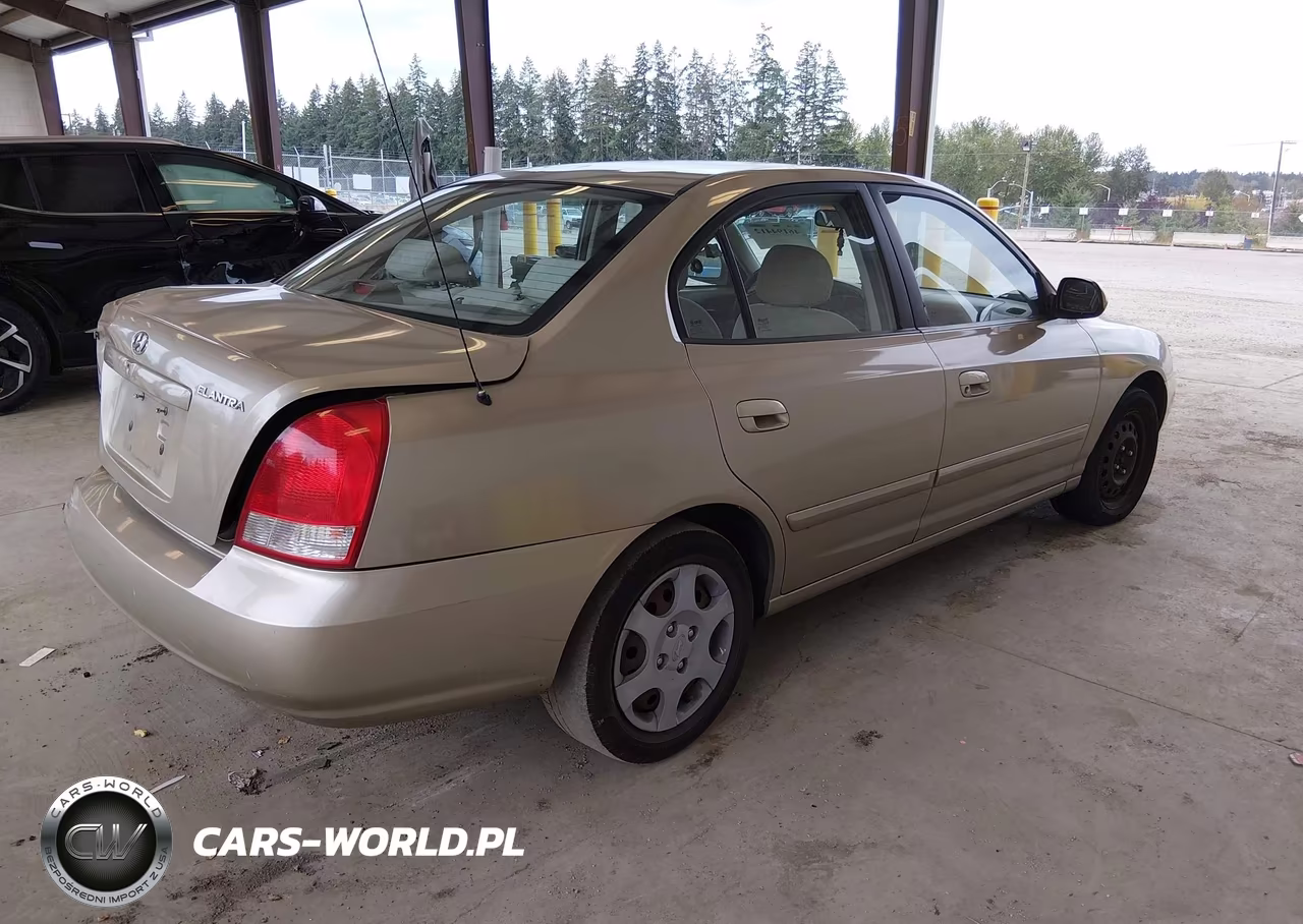 2003 Hyundai Elantra Gls-Gt VIN:KMHDN45D33U594503 - 4