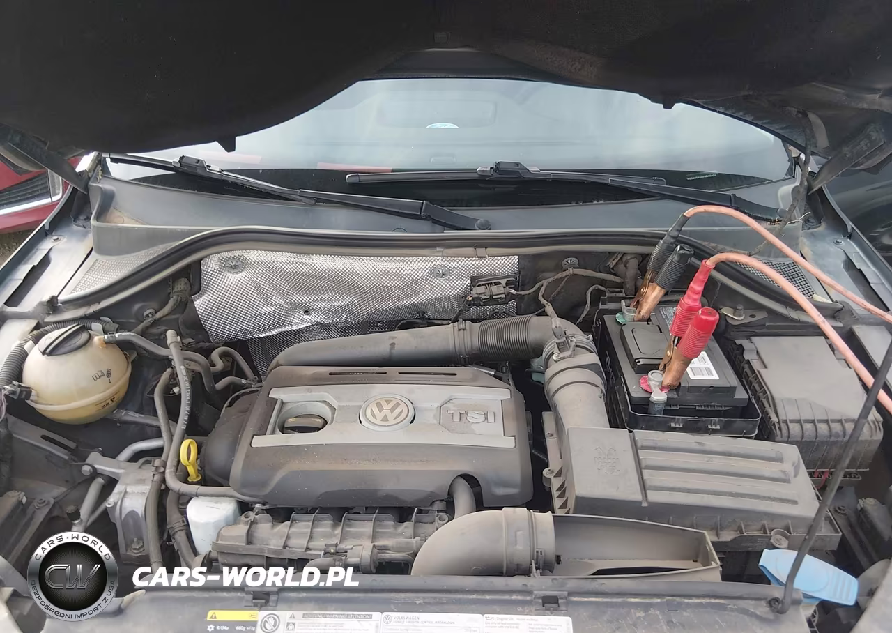 2014 Volkswagen Tiguan S VIN:WVGAV3AX4EW510404 - 10
