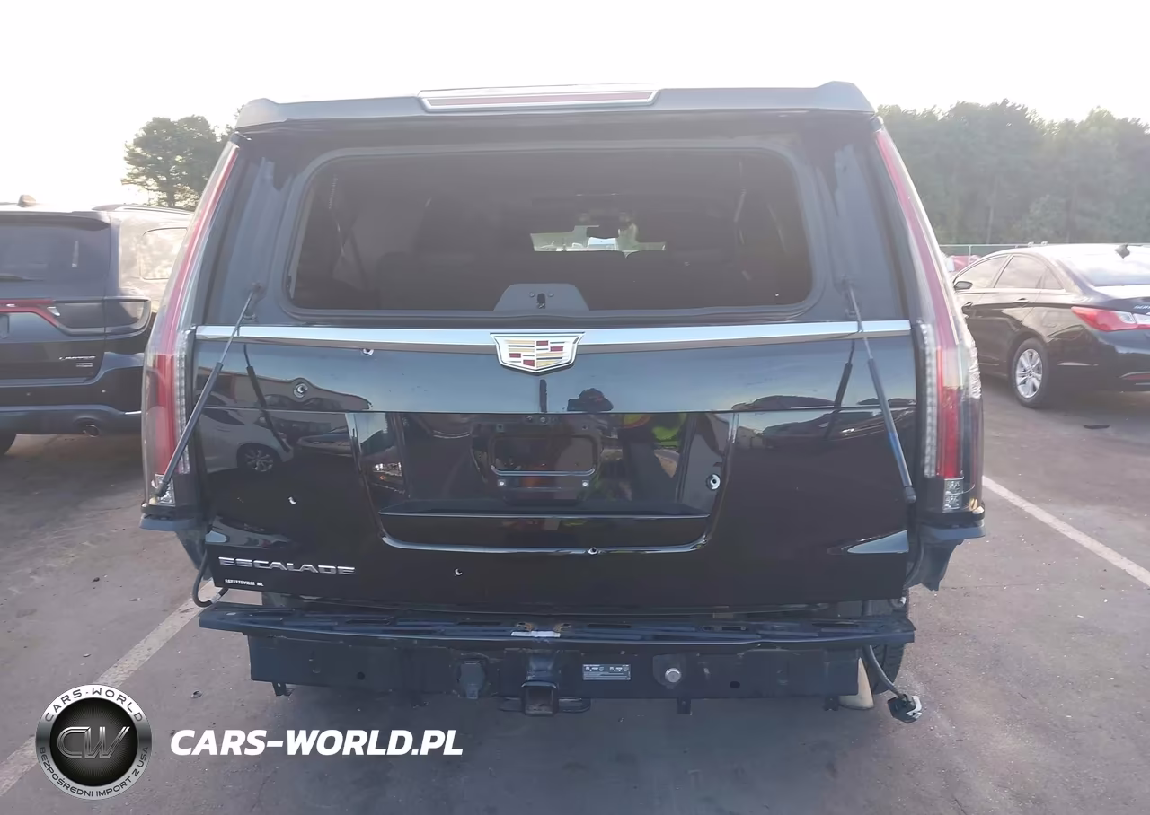 2020 Cadillac Escalade Esv 4Wd Luxury VIN:1GYS4HKJ2LR189651 - 16