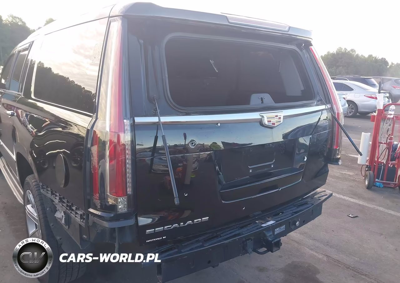2020 Cadillac Escalade Esv 4Wd Luxury VIN:1GYS4HKJ2LR189651 - 17