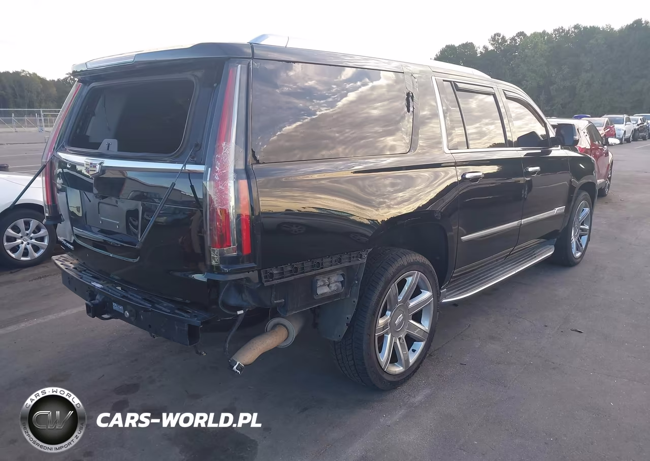2020 Cadillac Escalade Esv 4Wd Luxury VIN:1GYS4HKJ2LR189651 - 4