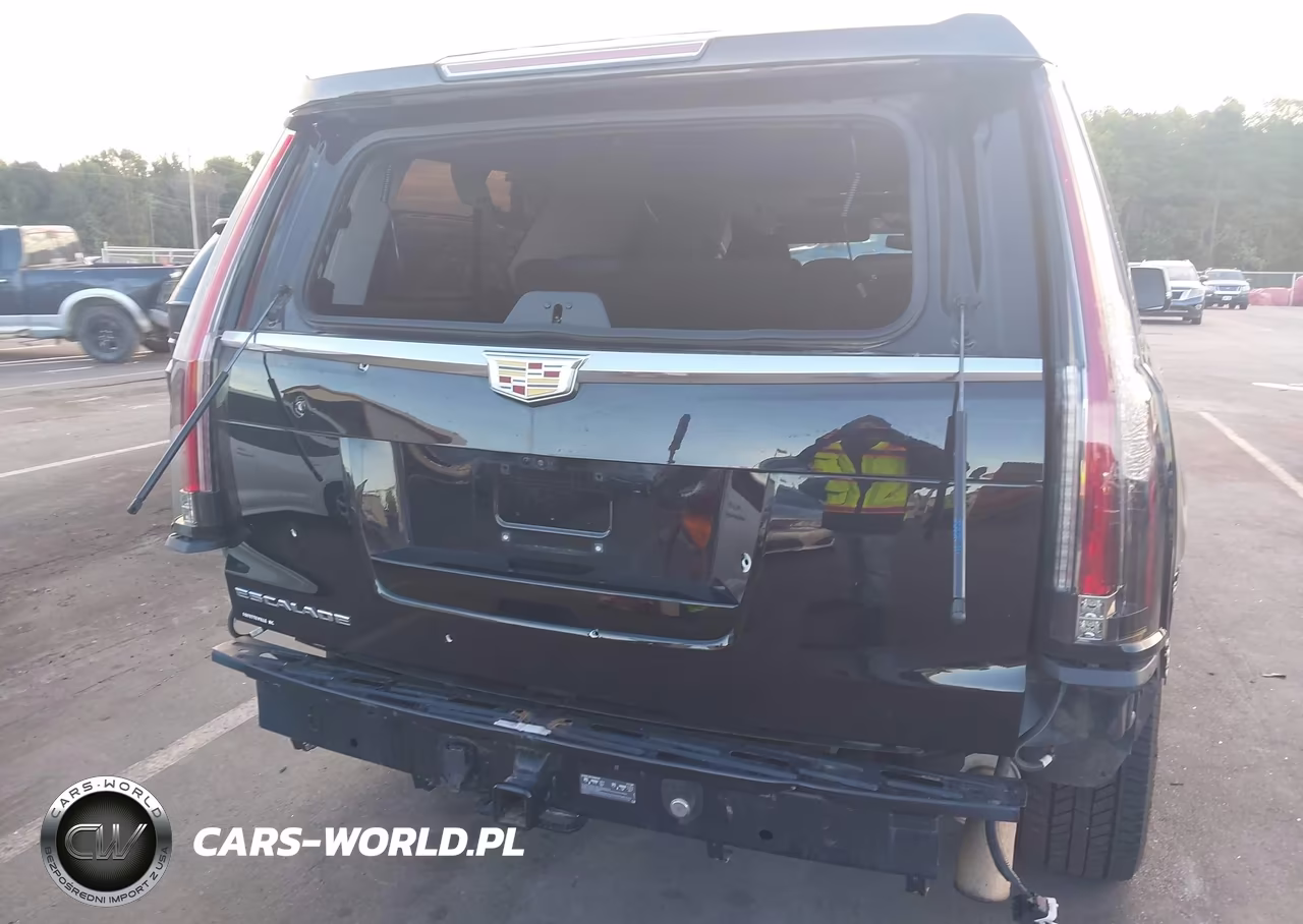 2020 Cadillac Escalade Esv 4Wd Luxury VIN:1GYS4HKJ2LR189651 - 6