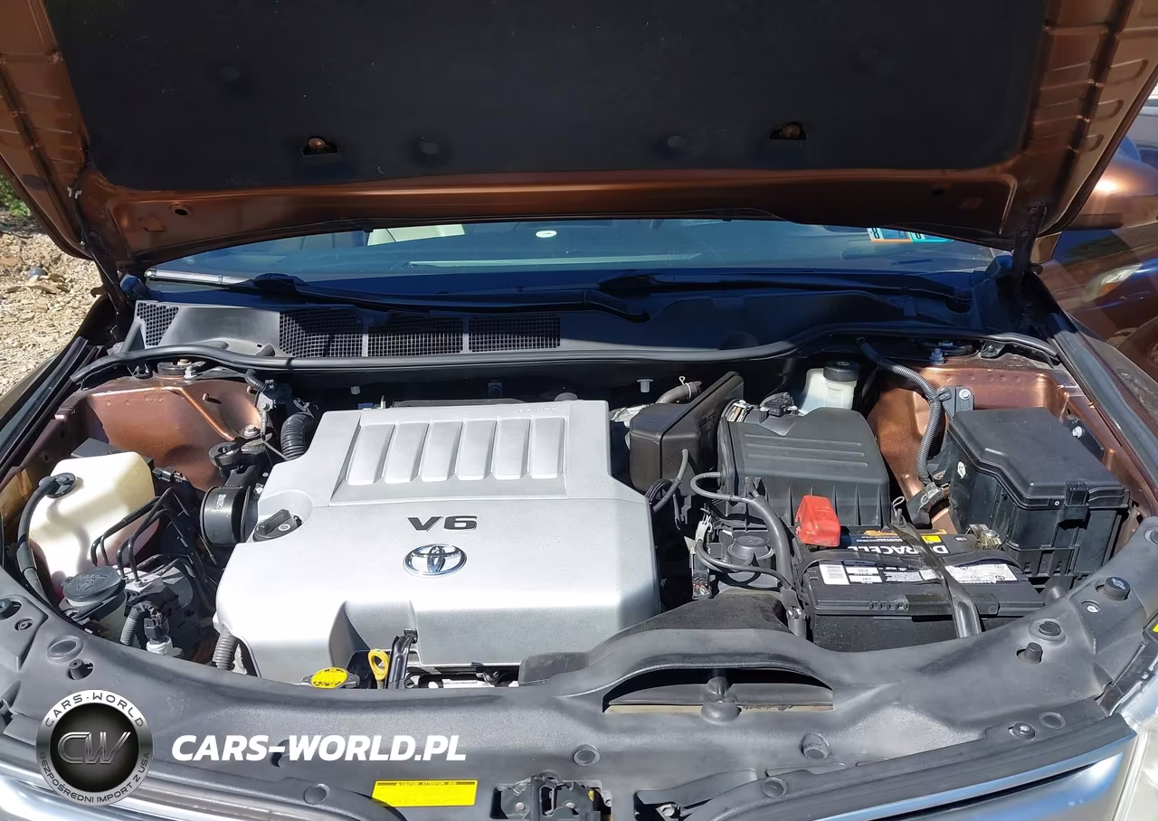 2010 Toyota Venza Base V6 (A6) VIN:4T3ZK3BB4AU023392 - 10