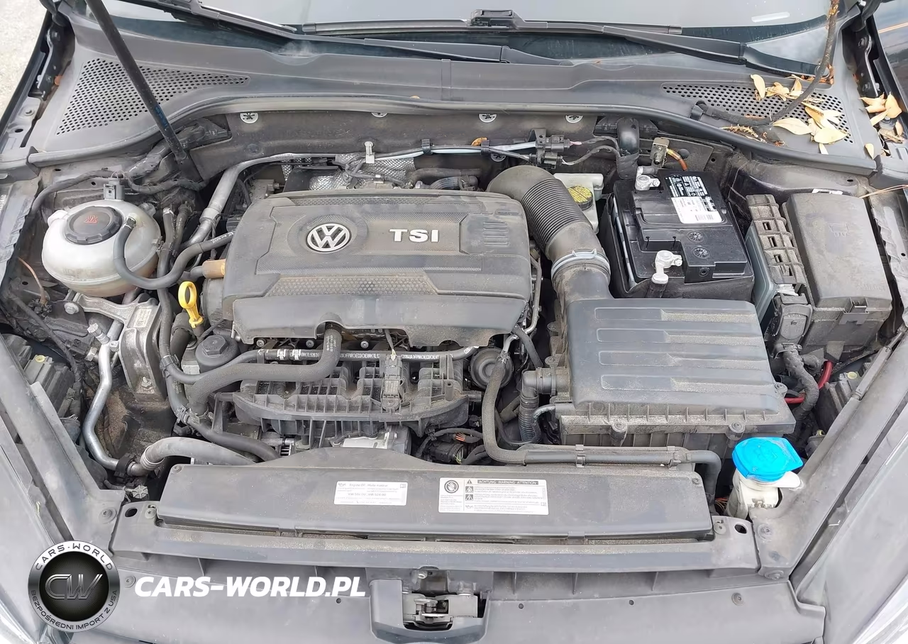 2018 Volkswagen Golf Tsi S-Tsi Se VIN:3VWG17AU7JM254838 - 10