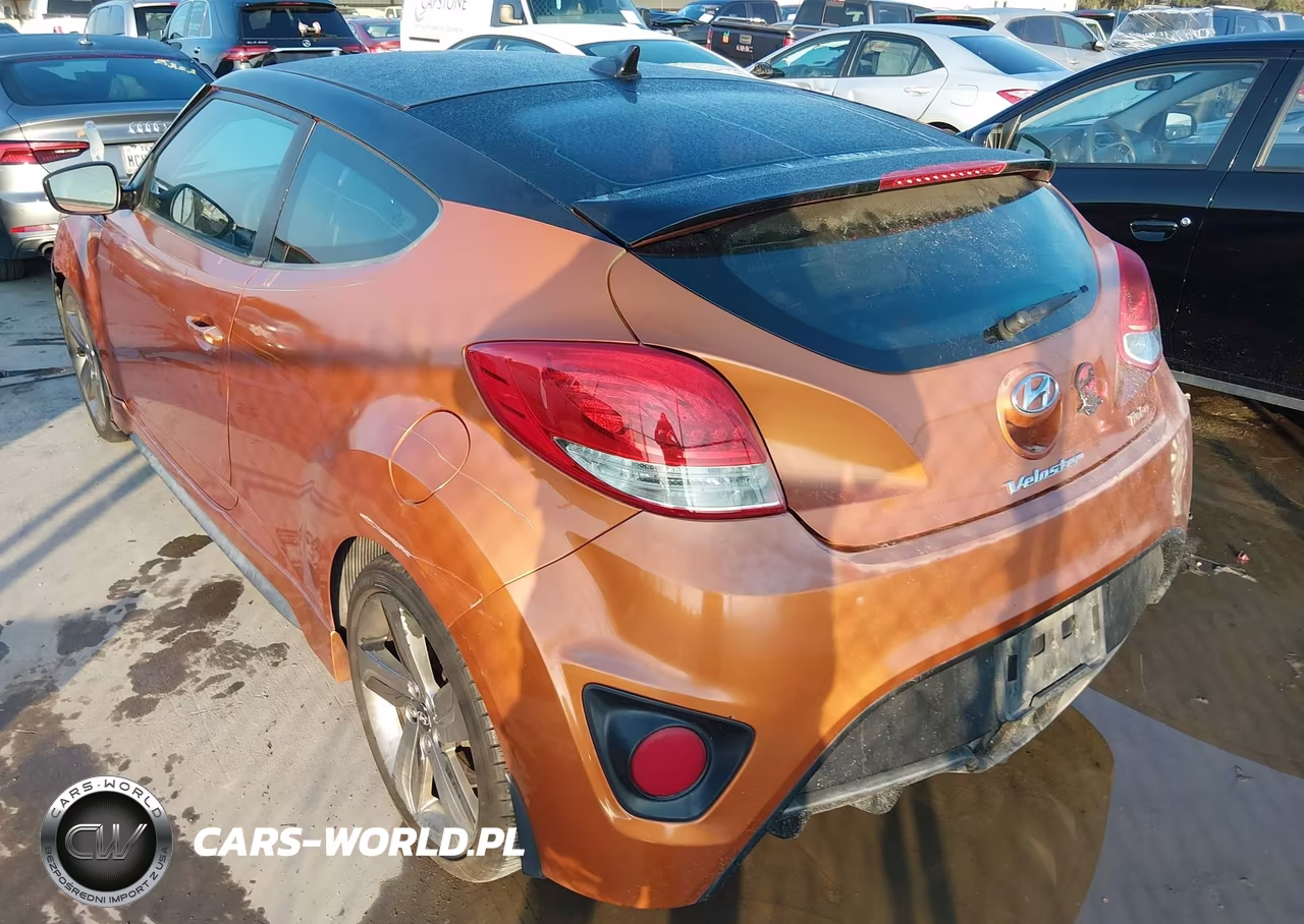 2013 Hyundai Veloster Turbo W-Black VIN:KMHTC6AE5DU174383 - 3