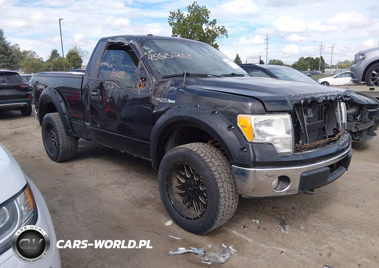 2010 Ford F-150 Xl-Xlt – zdjęcie 1 z 11