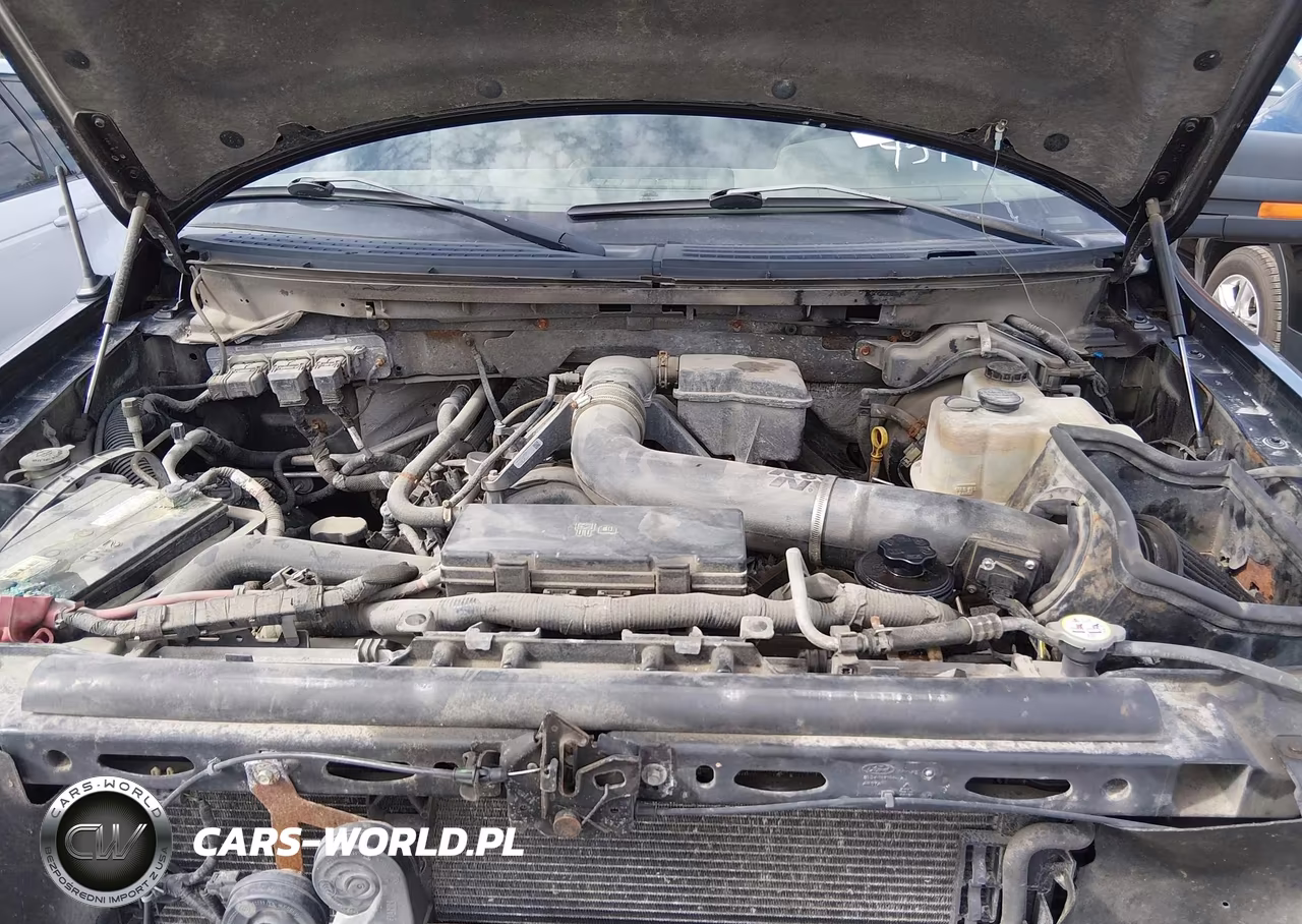 2010 Ford F-150 Xl-Xlt VIN:1FTMF1EV8AKA20142 - 10