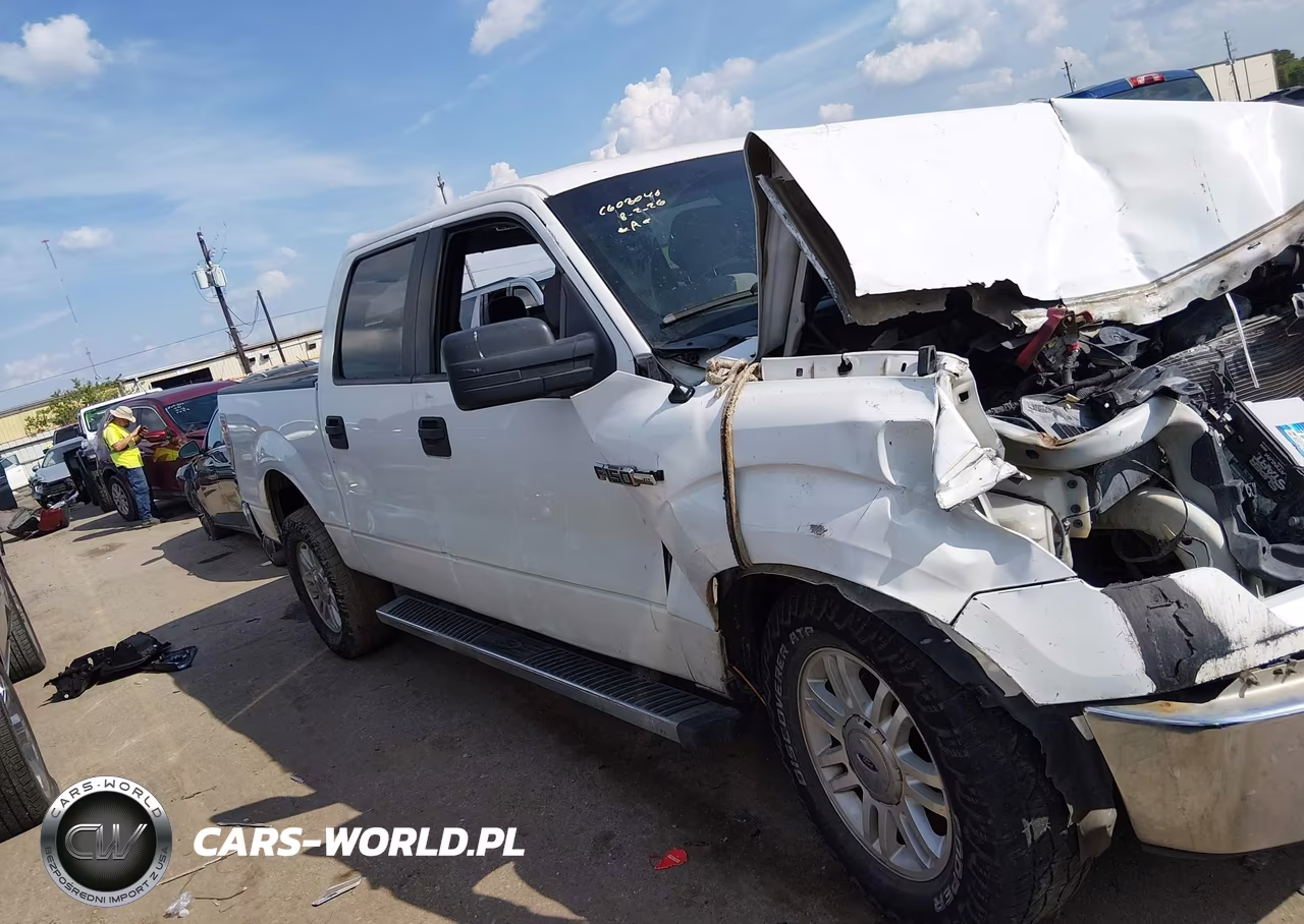 2013 Ford F-150 Xlt VIN:1FTFW1CF8DFC28460 - 13