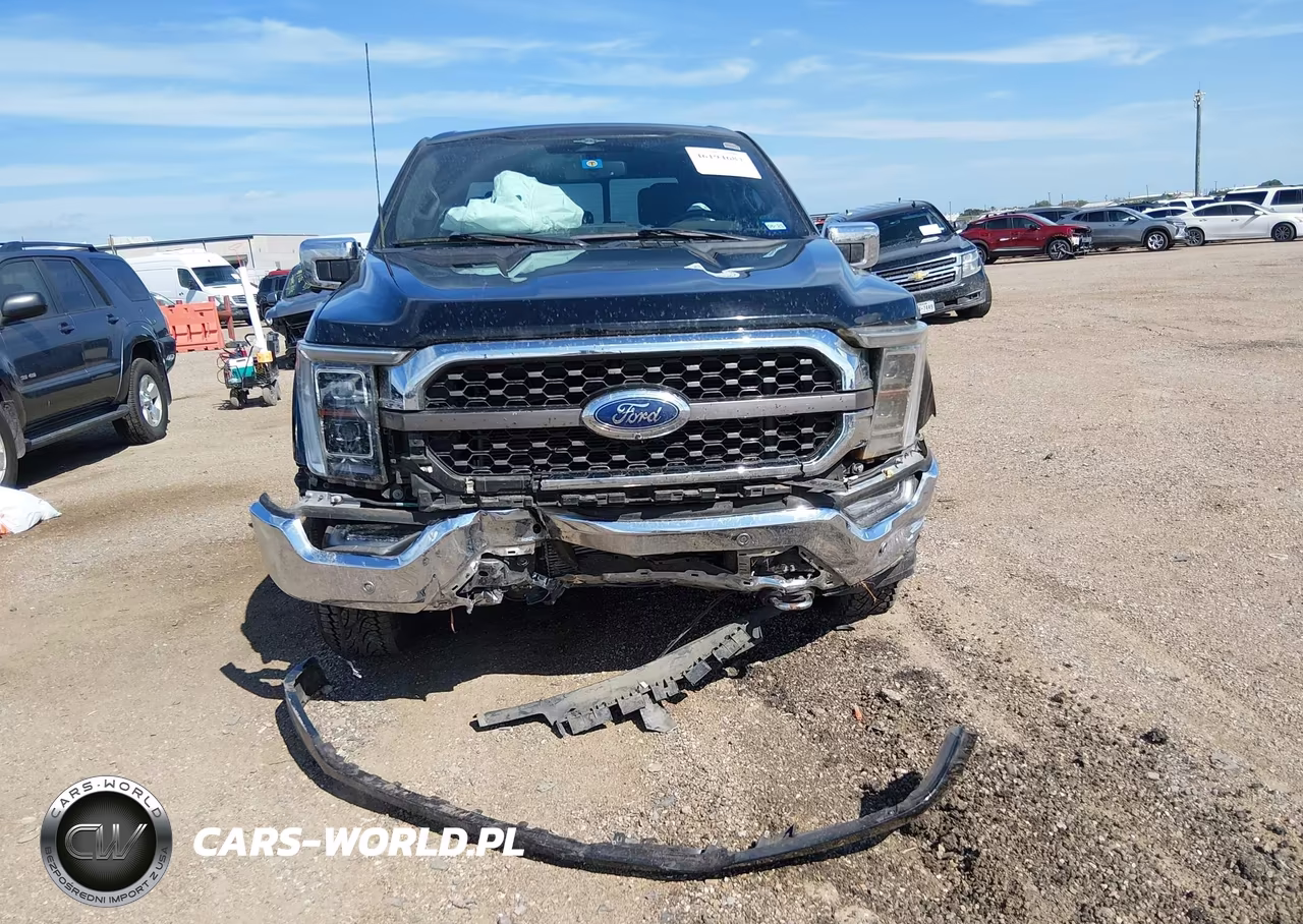 2023 Ford F-150 King Ranch VIN:1FTFW1E85PFC00747 - 12