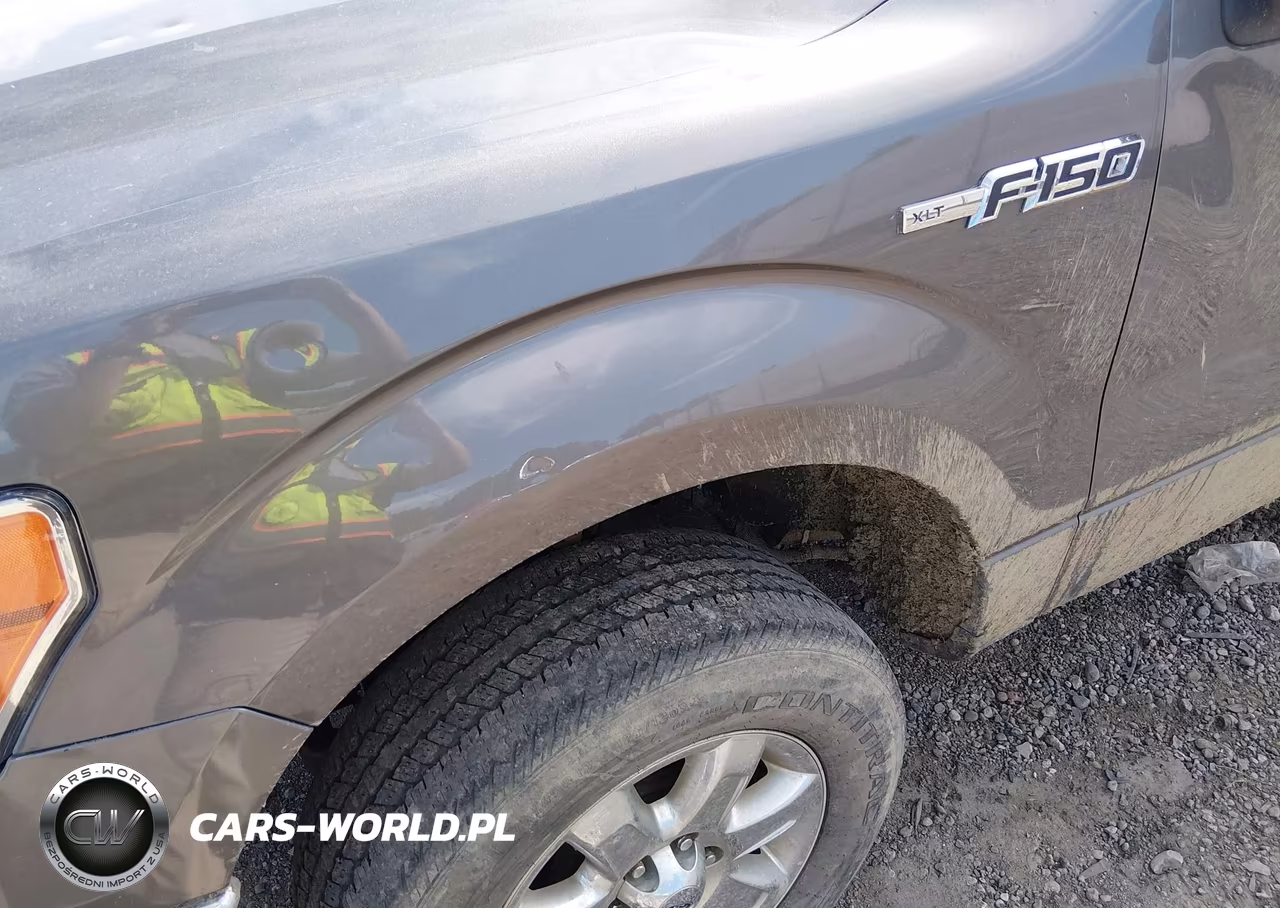 2013 Ford F-150 Xlt VIN:1FTFW1ET9DFA61920 - 12