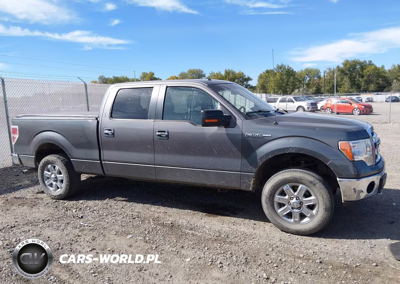 2013 Ford F-150 Xlt VIN:1FTFW1ET9DFA61920 - 14