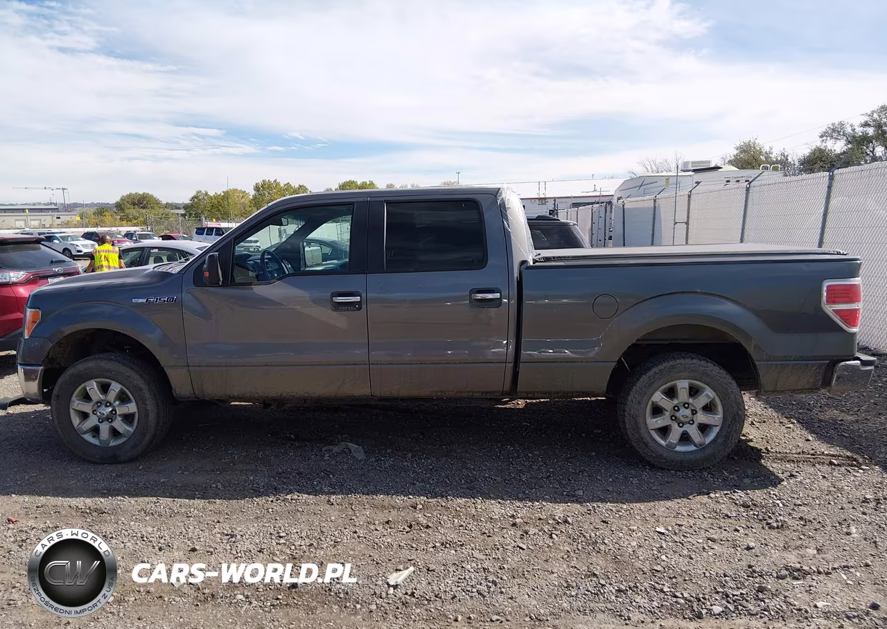 2013 Ford F-150 Xlt VIN:1FTFW1ET9DFA61920 - 15