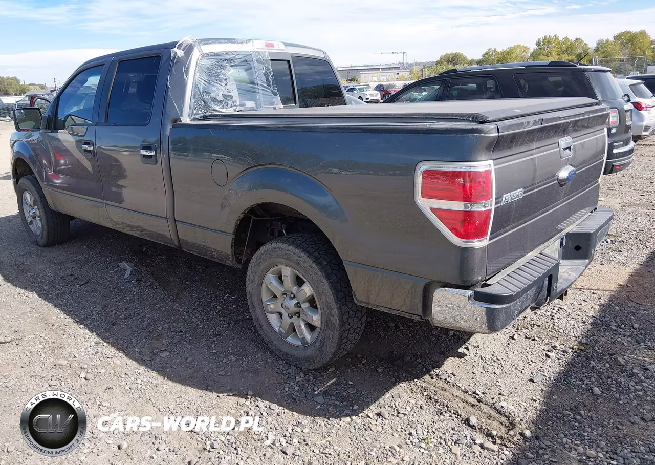 2013 Ford F-150 Xlt VIN:1FTFW1ET9DFA61920 - 3