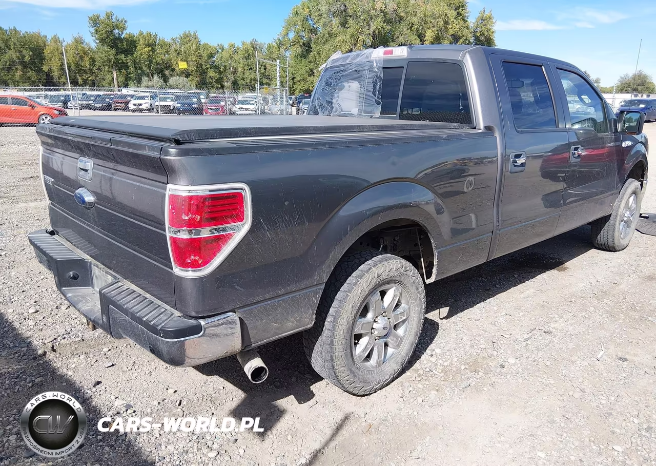 2013 Ford F-150 Xlt VIN:1FTFW1ET9DFA61920 - 4