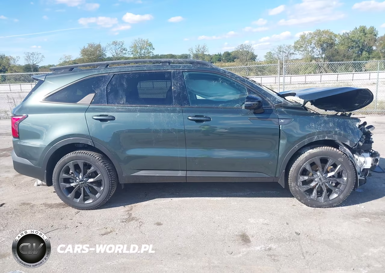 2022 Kia Sorento X-Line Sx Prestige VIN:5XYRKDLF4NG113413 - 13