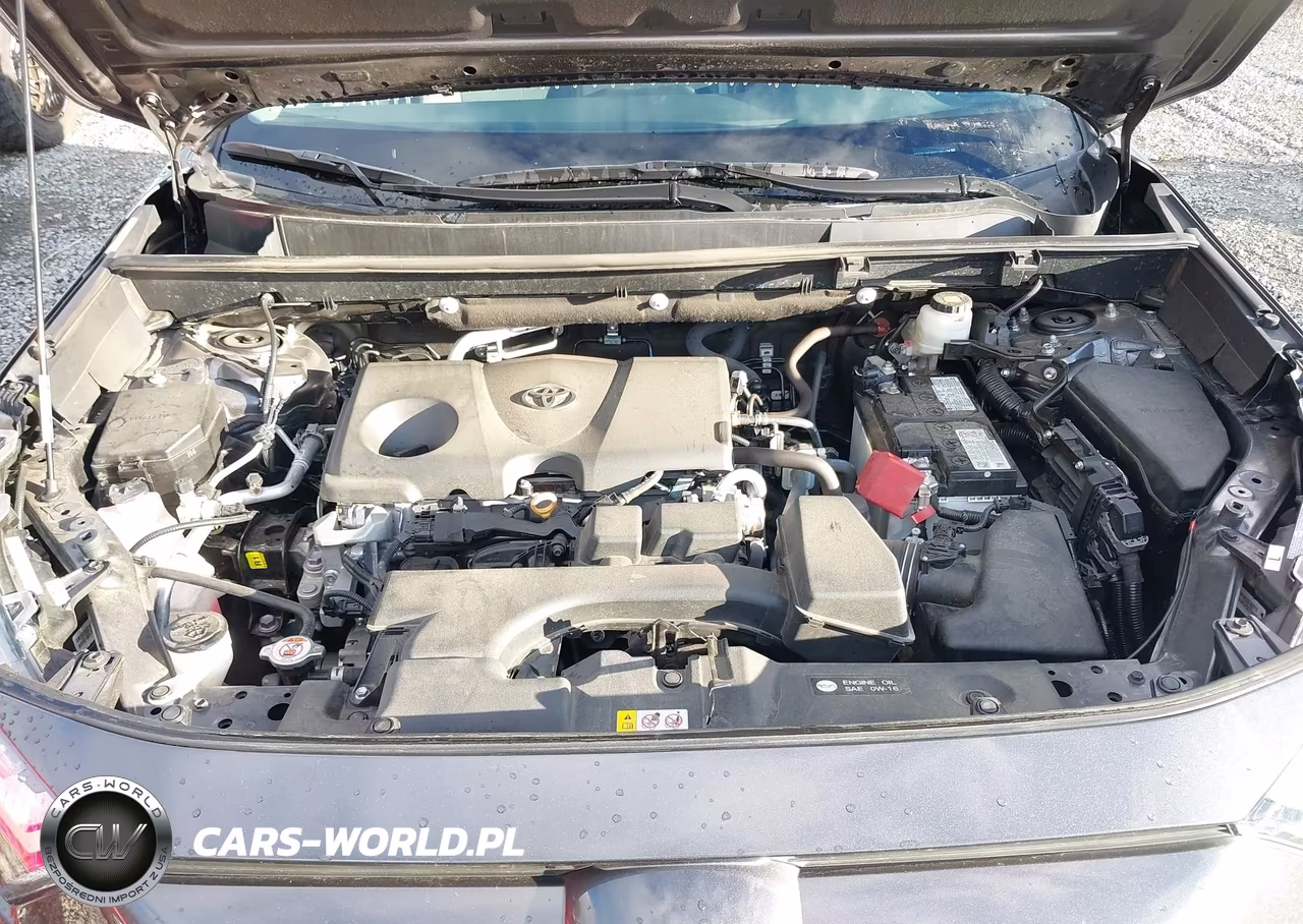 2023 Toyota Rav4 Xle VIN:2T3P1RFV6PC385476 - 10