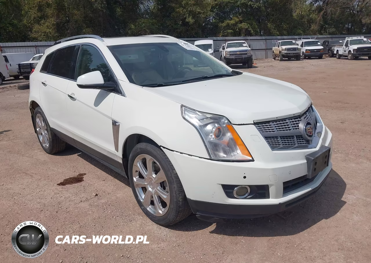 2013 Cadillac Srx Performance Collection VIN:3GYFNDE38DS581620 - 1