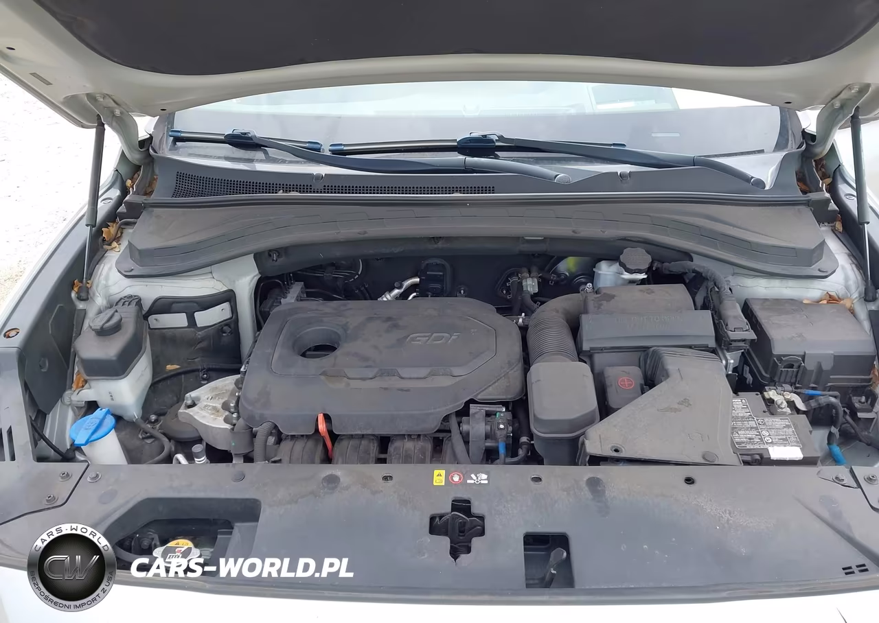 2020 Hyundai Santa Fe Limited VIN:5NMS5CAD6LH196057 - 10