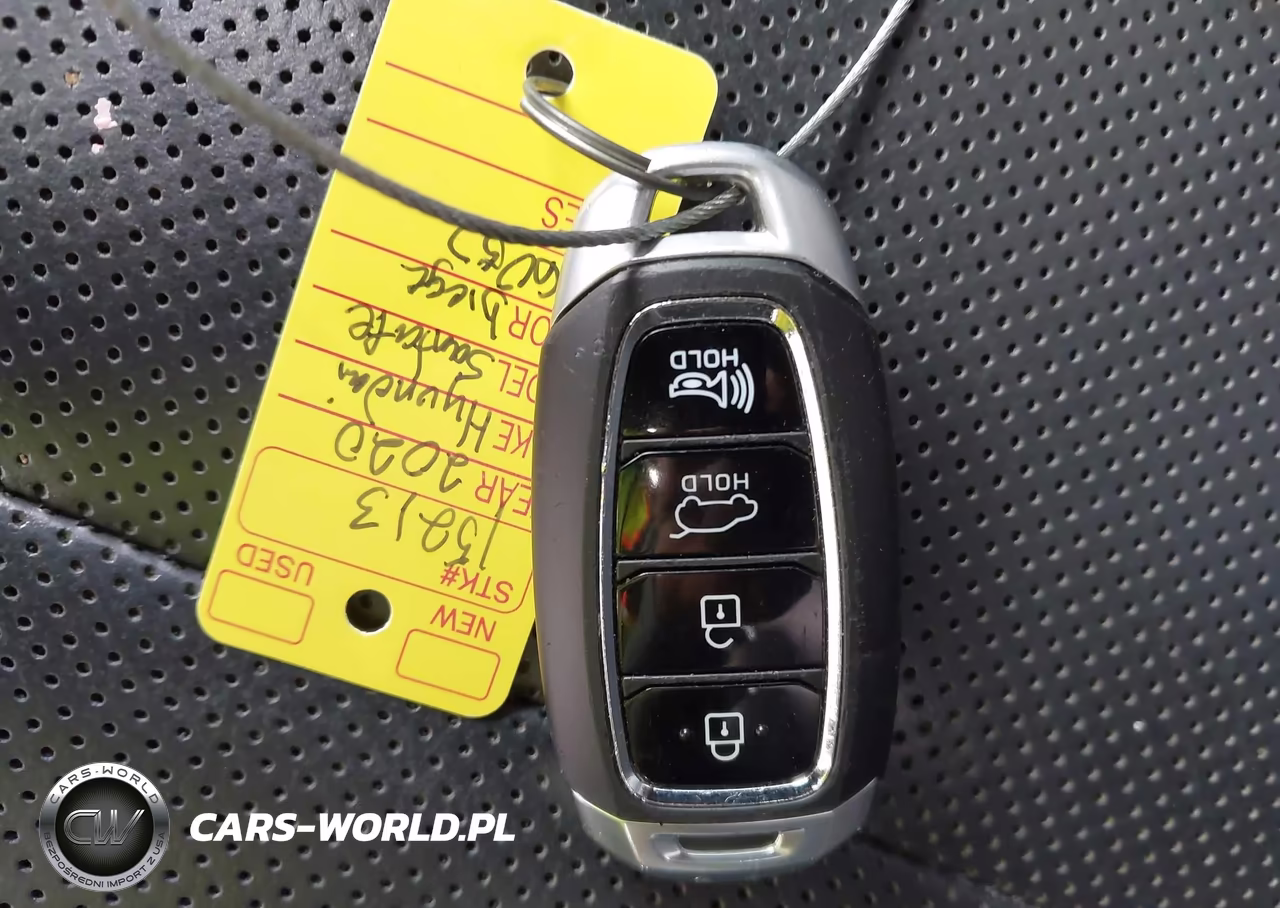 2020 Hyundai Santa Fe Limited VIN:5NMS5CAD6LH196057 - 11
