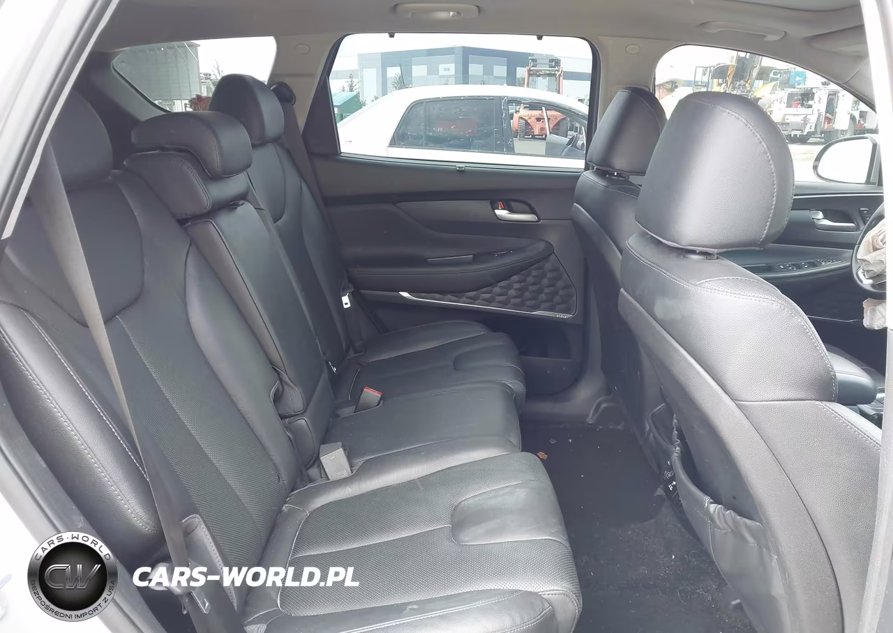 2020 Hyundai Santa Fe Limited VIN:5NMS5CAD6LH196057 - 8