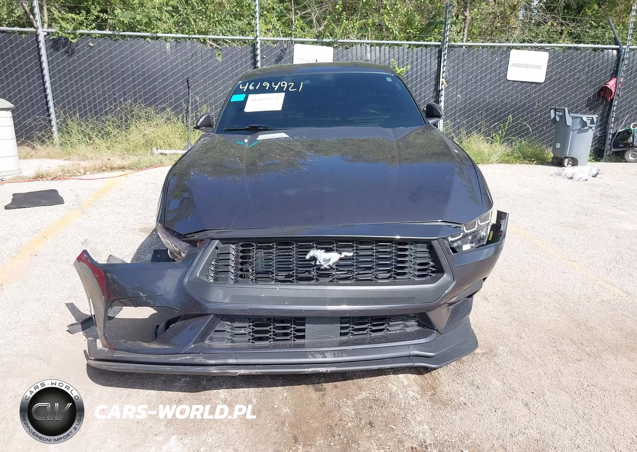 2024 Ford Mustang Ecoboost Fastback VIN:1FA6P8TH8R5136176 - 13