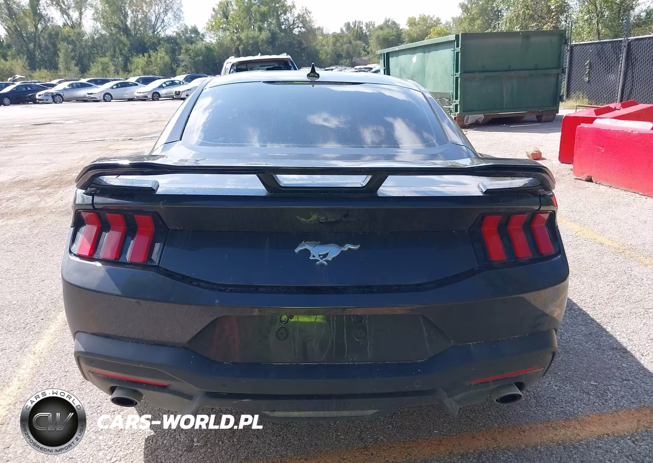 2024 Ford Mustang Ecoboost Fastback VIN:1FA6P8TH8R5136176 - 17