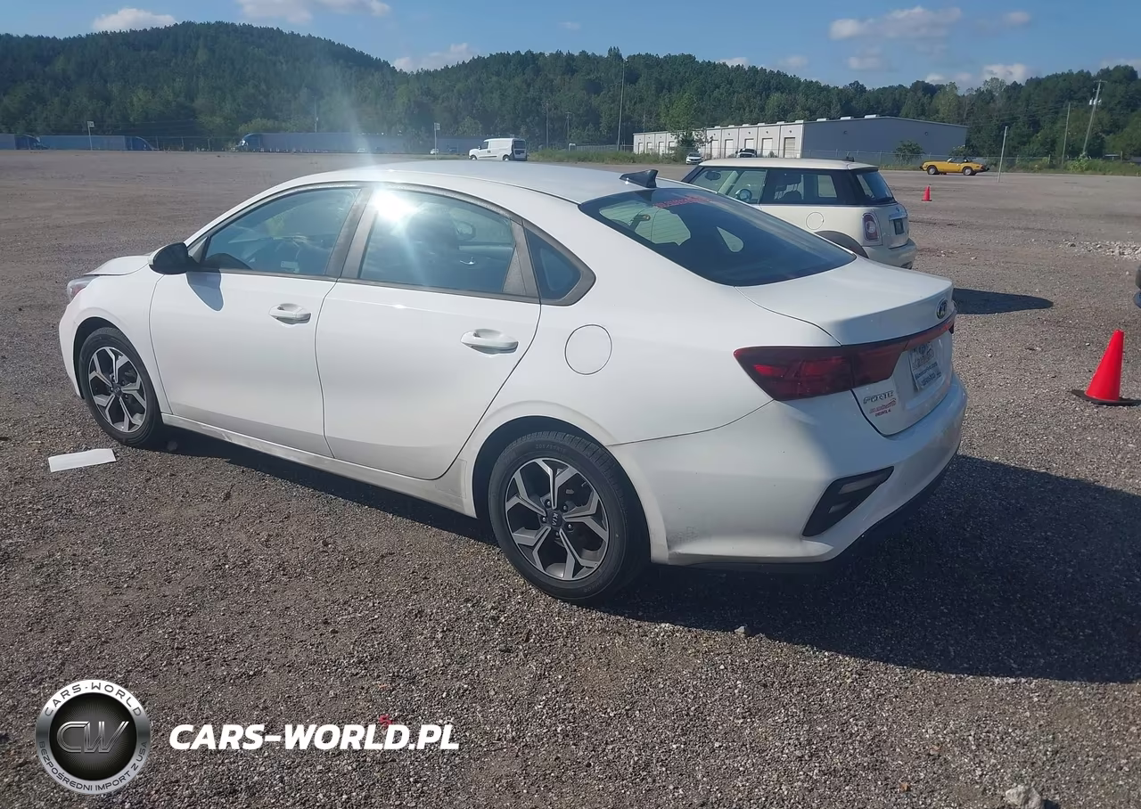 2019 Kia Forte Lxs VIN:3KPF24AD2KE081073 - 3